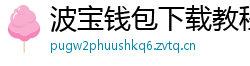 波宝钱包下载教程